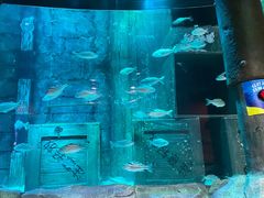 -沈阳海洋探索中心