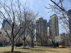 -西北湖绿化广场