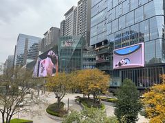 -合景·悠方(成都店)