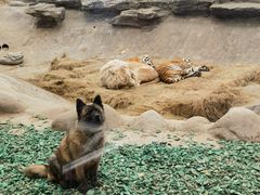 -北京野生动物园