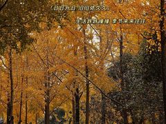 -月湖公园
