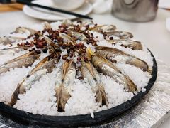 蛏子-华盛丰温州大排档(东三环南路店)