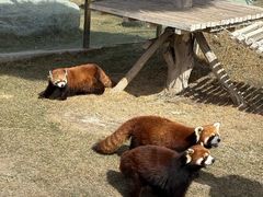 -水上乐园·欢乐世界