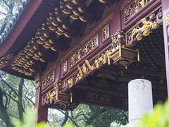 -汇龙潭