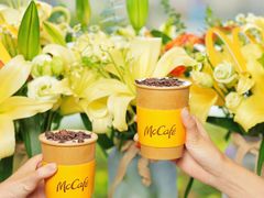 -麦当劳(海岸城店)