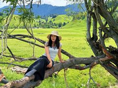 -新疆那拉提国家旅游度假区