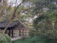 -杭州植物园