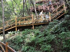 -大岭沟猕猴桃谷风景区