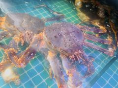 -震海贝烤贝·民俗特色店(延吉总店)