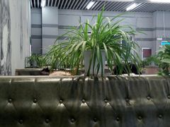 大堂-黄河科技学院大学-餐厅(紫荆山南路店)