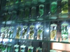 -广东中医药博物馆