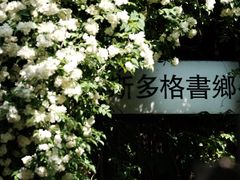 -斯多格书乡(北京大学畅春园店)