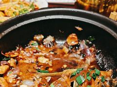 -金龙寨(解西店)