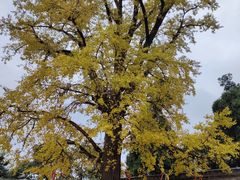 -金堂县云顶石城风景区