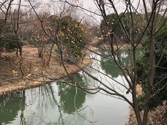 -梁鸿国家湿地公园