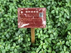 -广西壮族自治区药用植物园