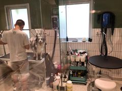 -電力宠物公司(武定路店)
