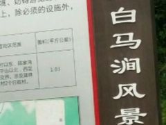 -白马涧龙池景区