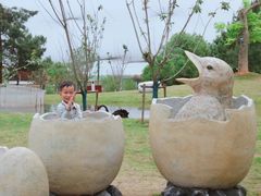 -鄱阳湖国家湿地公园