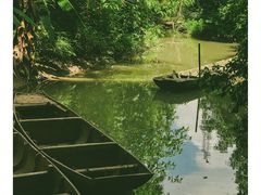 -小洲村