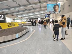 -大阪国际机场