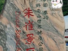 -朱雀国家森林公园