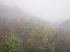 -九华山风景区-东崖禅寺