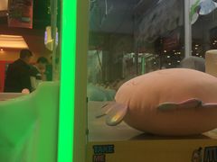 -PAWTOY爪e玩偶店(天兴罗斯福店)