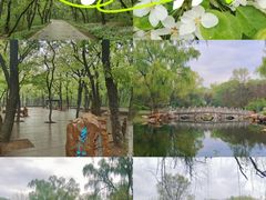 -沈阳市东陵公园