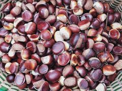 -溪口-滕头旅游景区