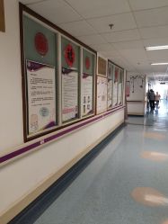 -北京大学第一医院妇产儿童医院