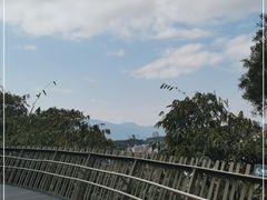 -福道