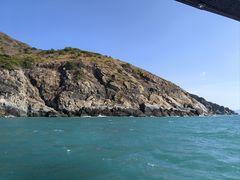 -小猫钓鱼海钓俱乐部(椰梦长廊店)