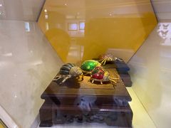 -上海昆虫博物馆