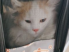 -德元·美联众合24小时动物医院(总院)