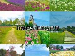 -花博汇(知音花月夜)