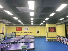 -乐旋乒乓球(深圳南油店)