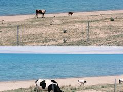 -青海湖国家重点风景名胜区