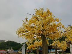 -玫瑰海岸文化旅游度假区
