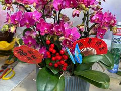 -双季花艺园艺市场(浦东店)