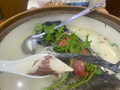 -全乐鱼馆·淳牌有机鱼直营店