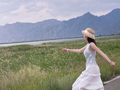 -哈素海
