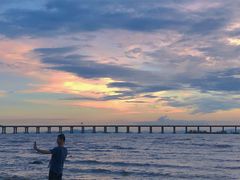 -宝安西湾红树林湿地公园