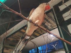 -可口香·非遗老号烧烤(南岗直营店)
