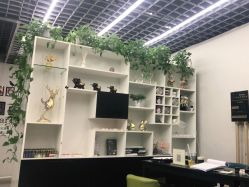 -VERNA日式美甲美睫