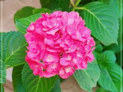 -T-COFFEE(长江花园店)