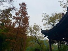 -重庆彩云湖湿地公园