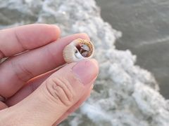 -东海岛旅游度假区