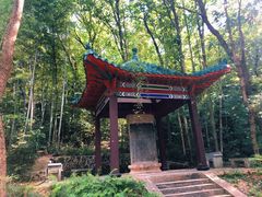 -青龙山国家森林公园