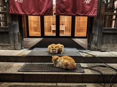 -北京古北水镇御舍温泉酒店